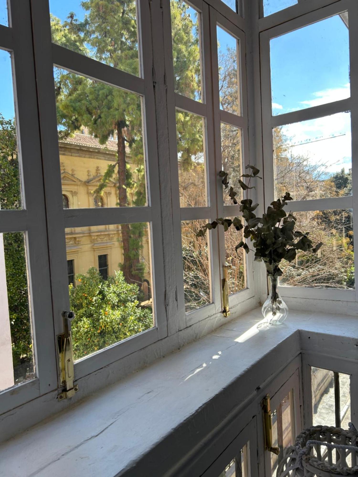 Apartment Jardin Botanico