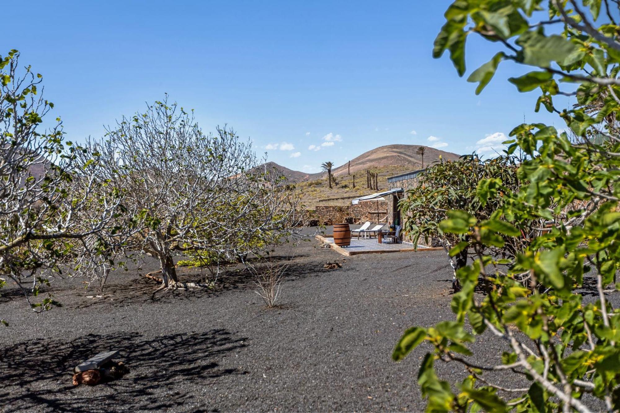 La Molina Lanzarote Сasa de vacaciones *
