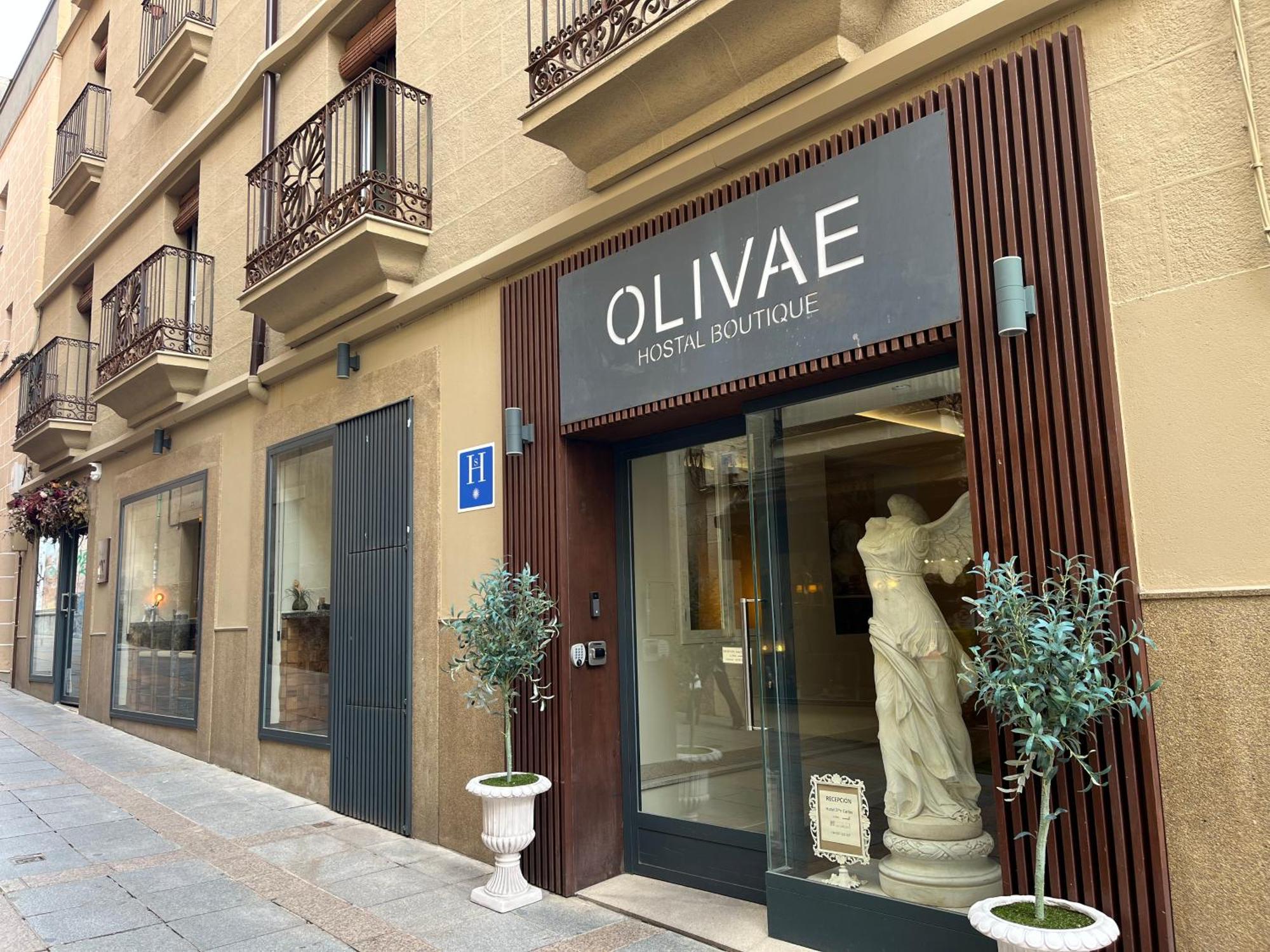 Guest house Olivae Boutique *