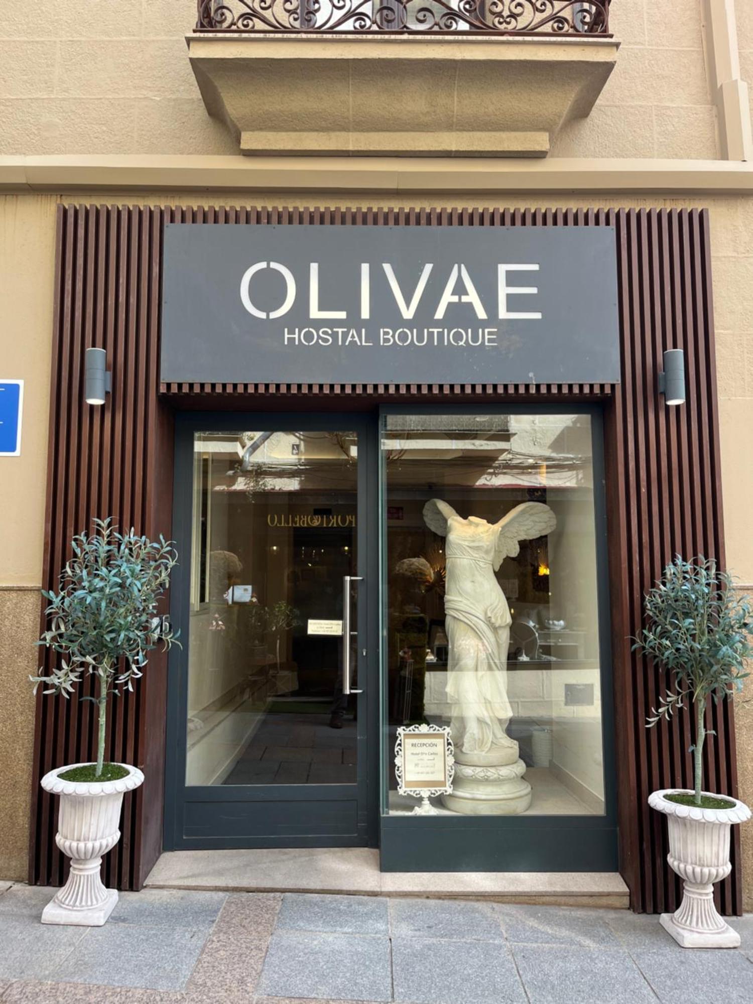 Guest house Olivae Boutique Caceres