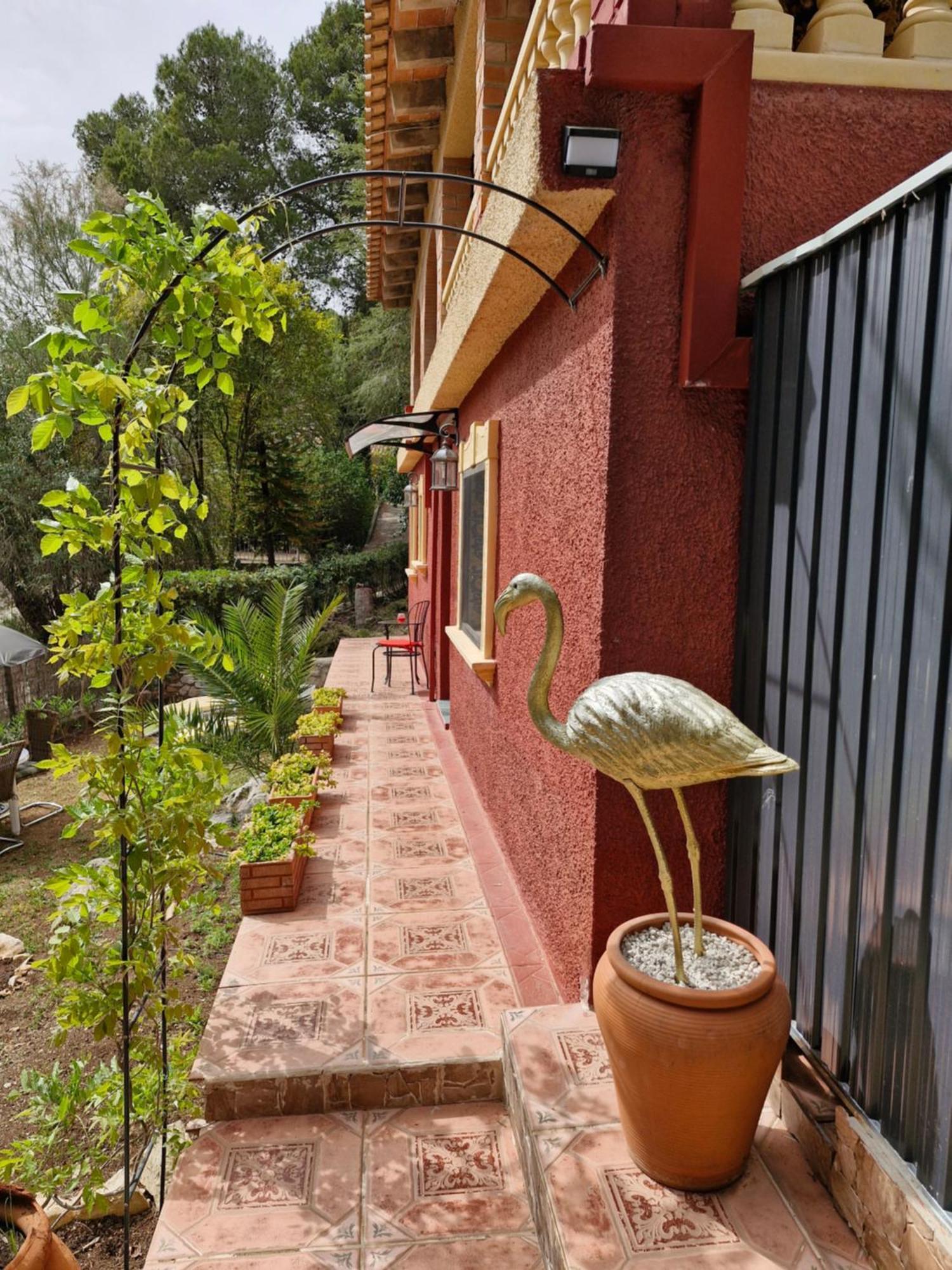 Bed and breakfast Golden Flamenco