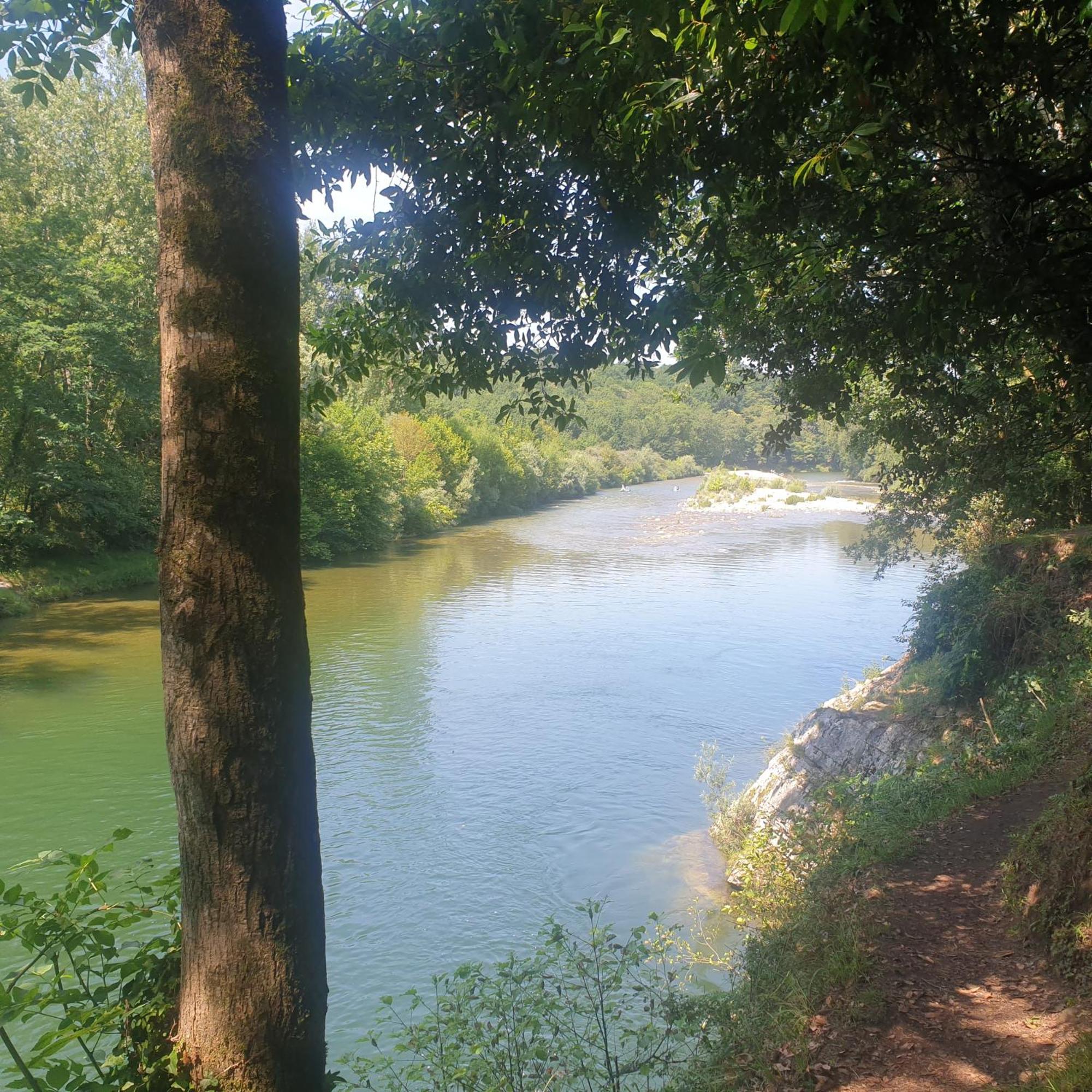 El Búho De La Remolina Bode