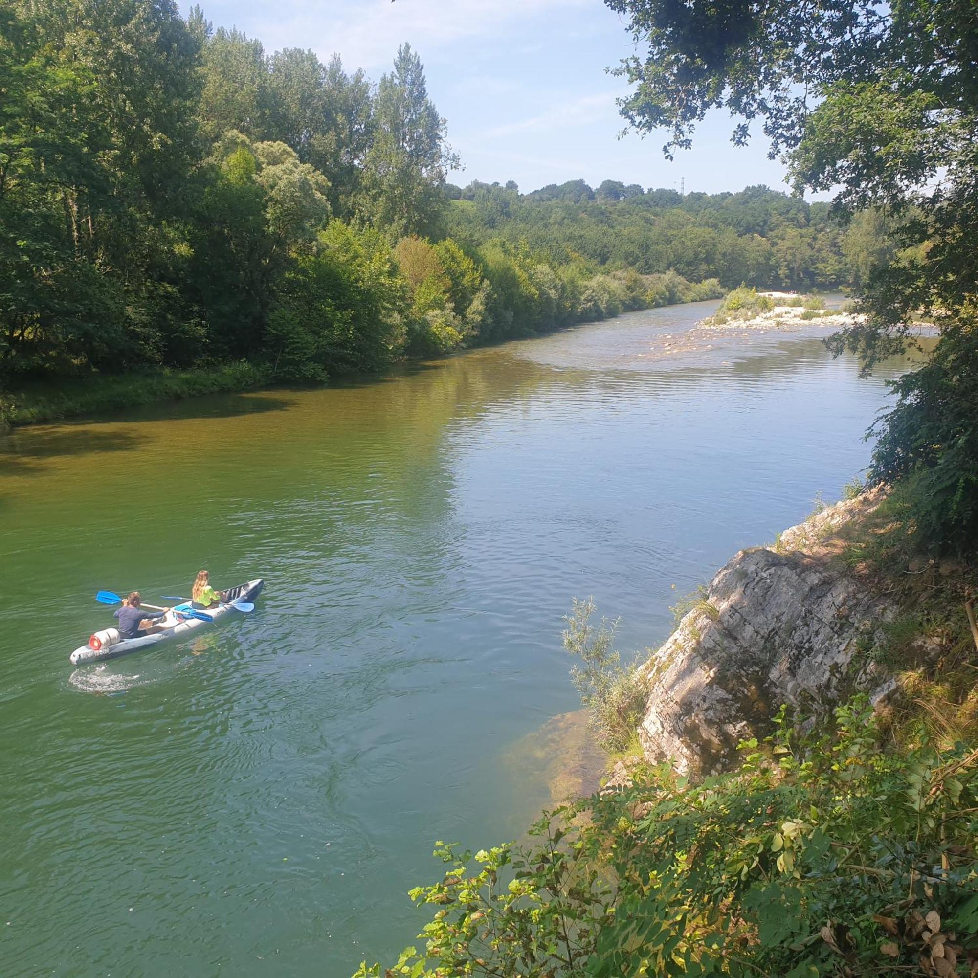 El Búho De La Remolina Bode