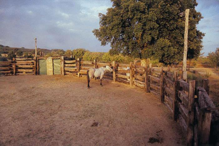 Valvellidos Jaraiz de la Vera
