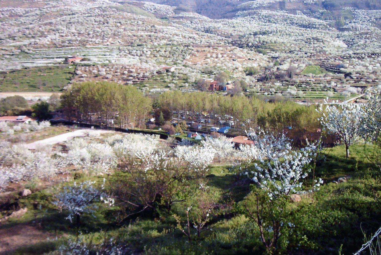 Rio Jerte * Navaconcejo