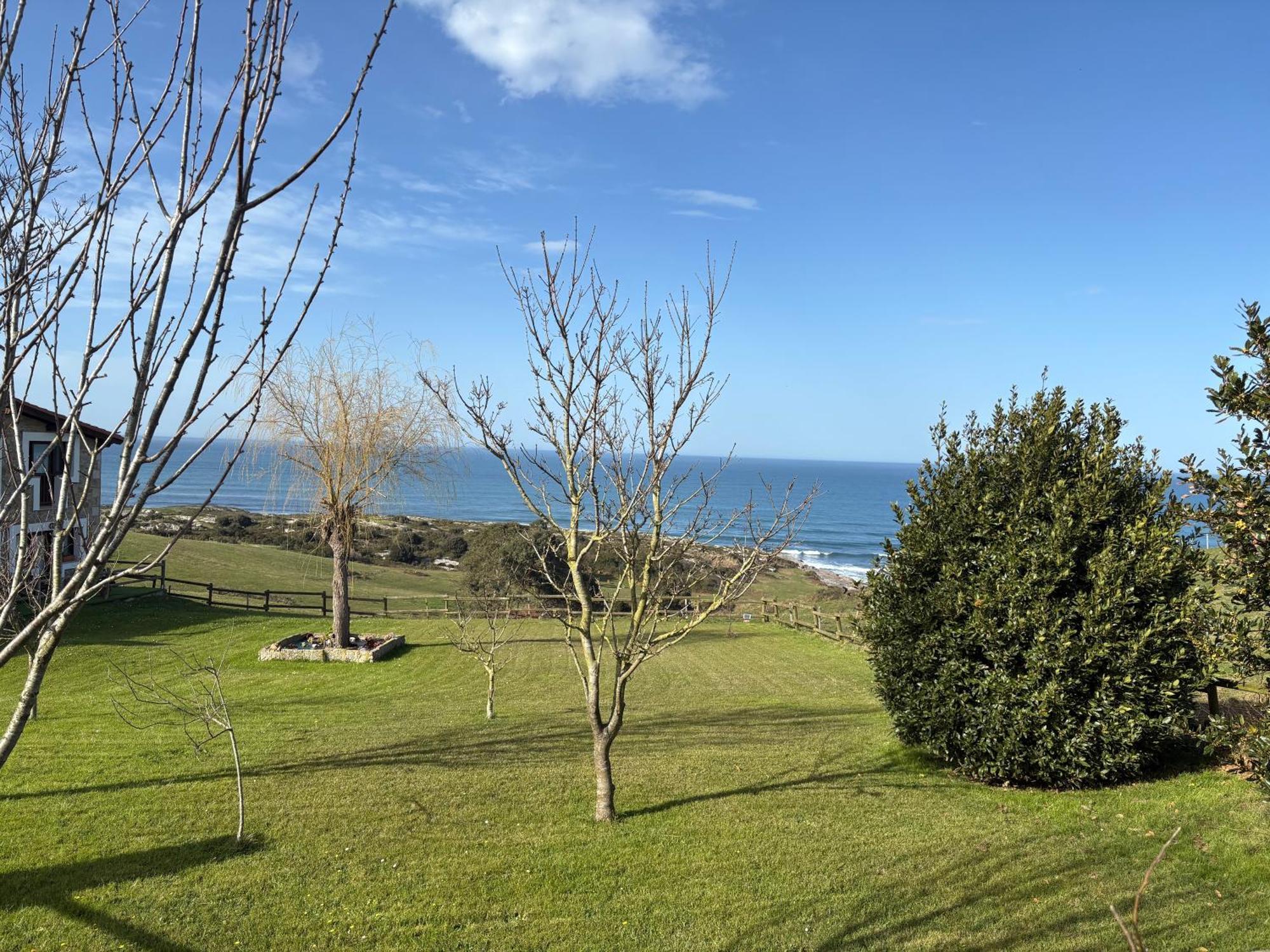 Punta Linera