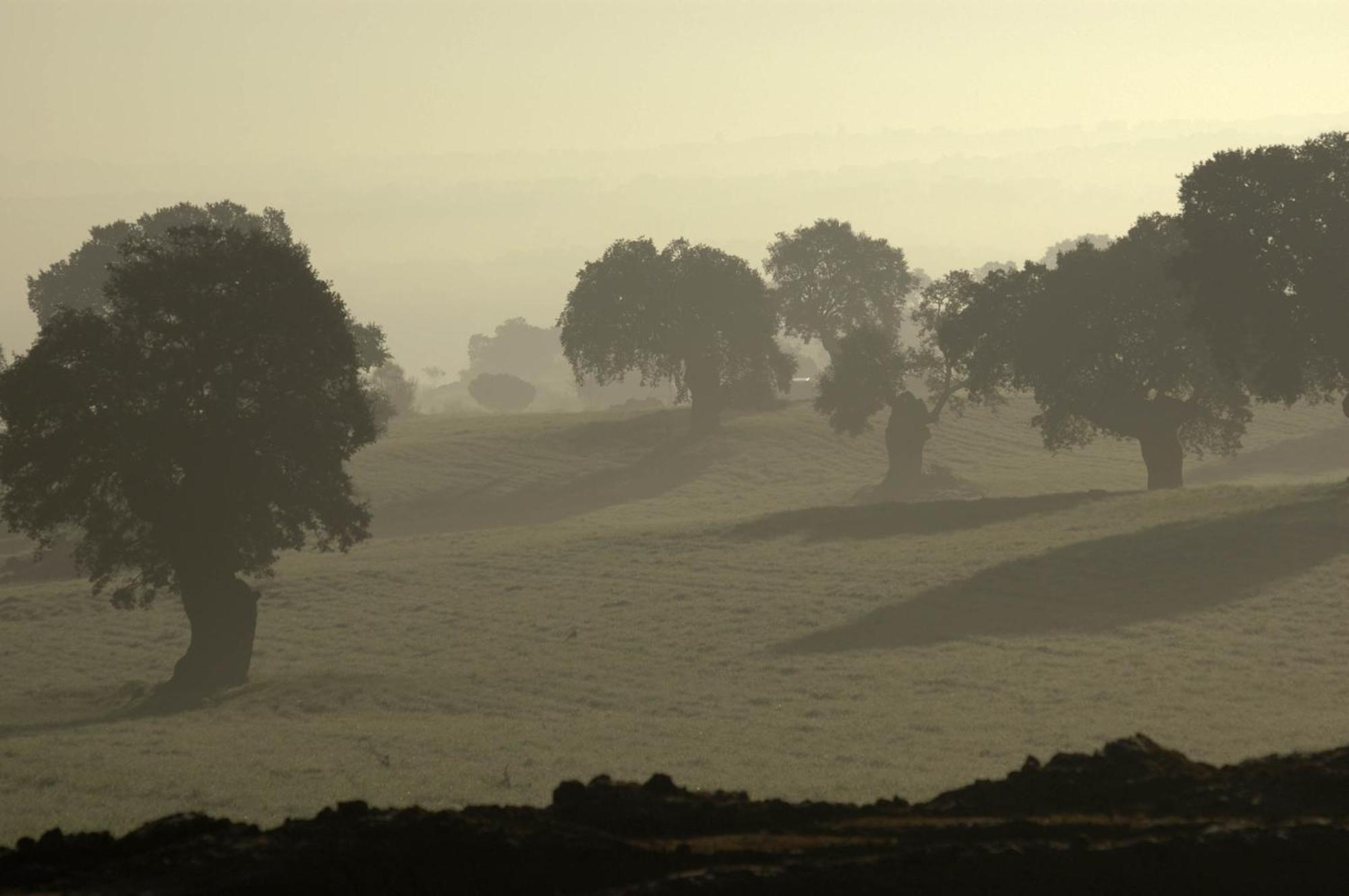 Cortijo Del Zoco Bajo