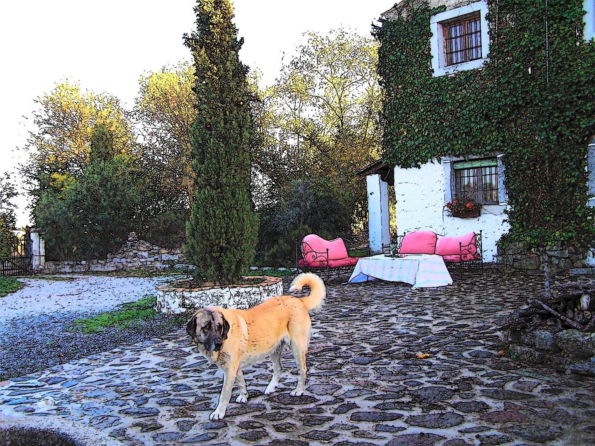 Country house Cortijo Del Zoco Bajo