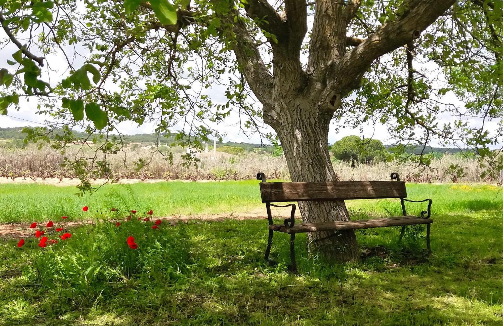 Country house Casa Del Rio *