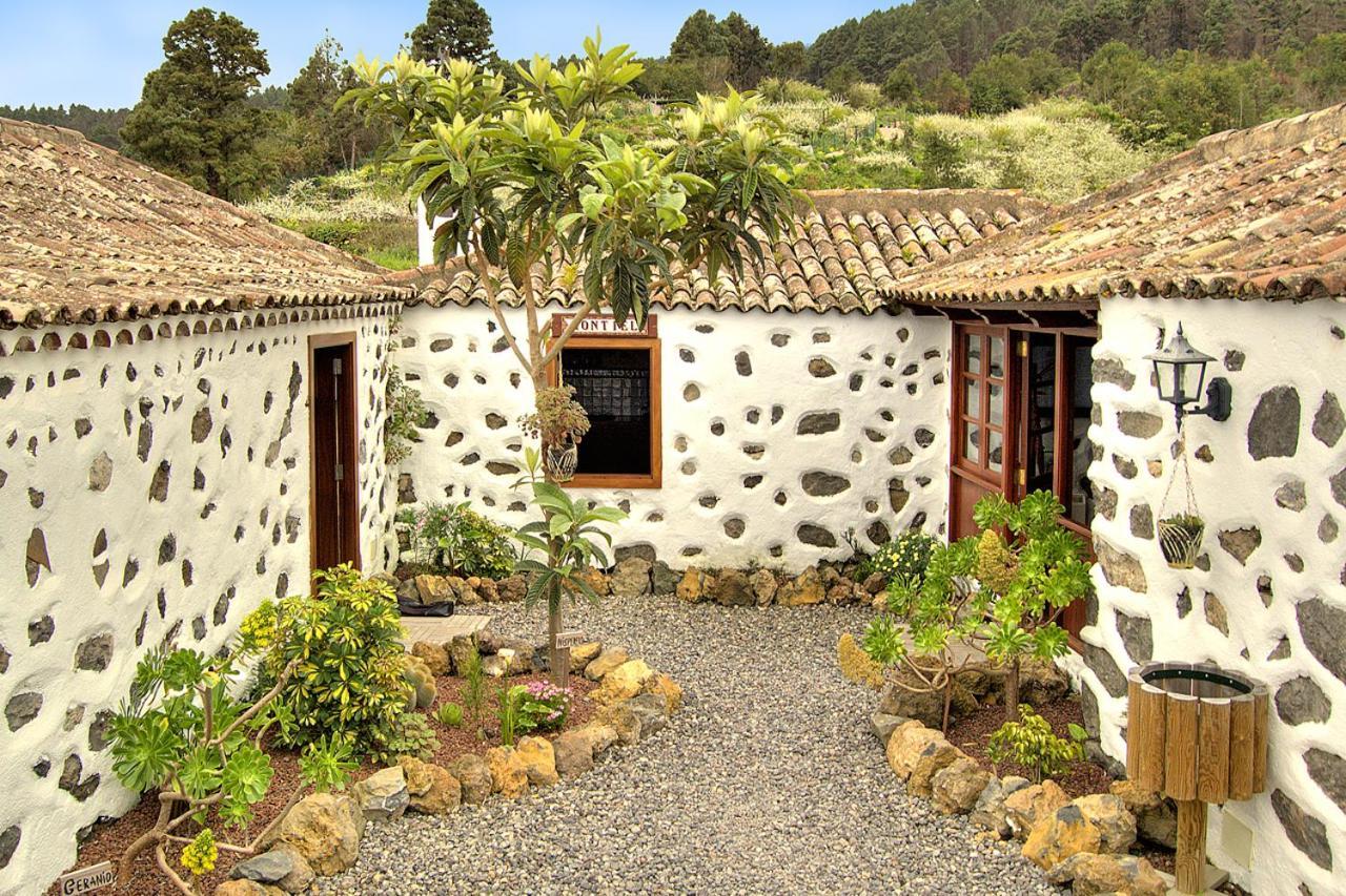 Holidaynorthtenerife Montiel *