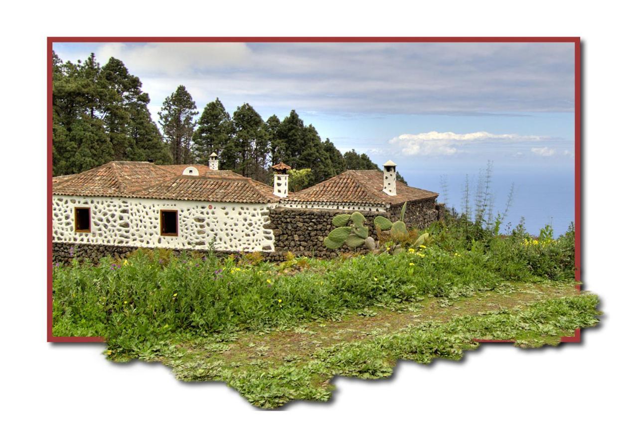 Holidaynorthtenerife Montiel Country house