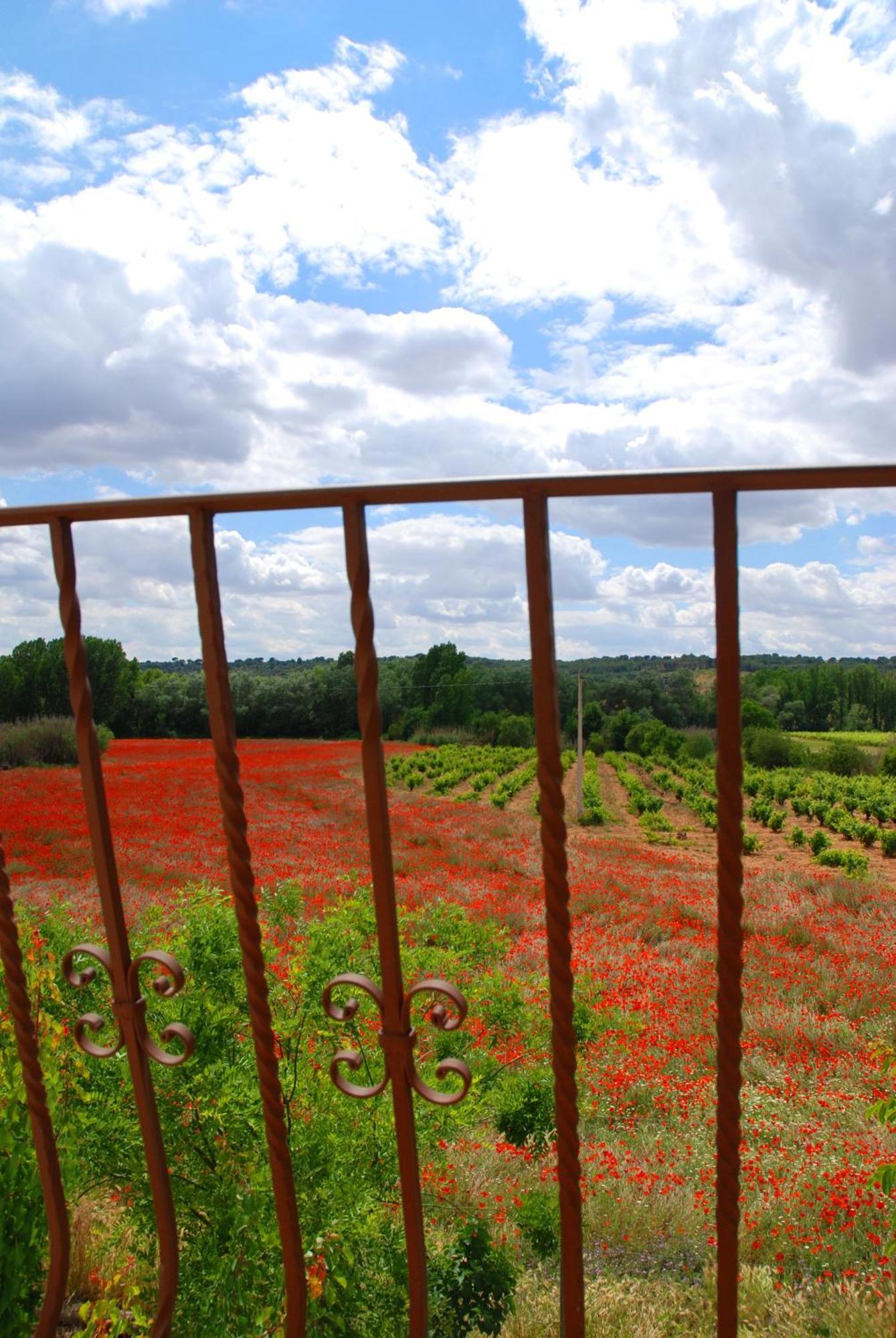 Country house Casa Del Rio *