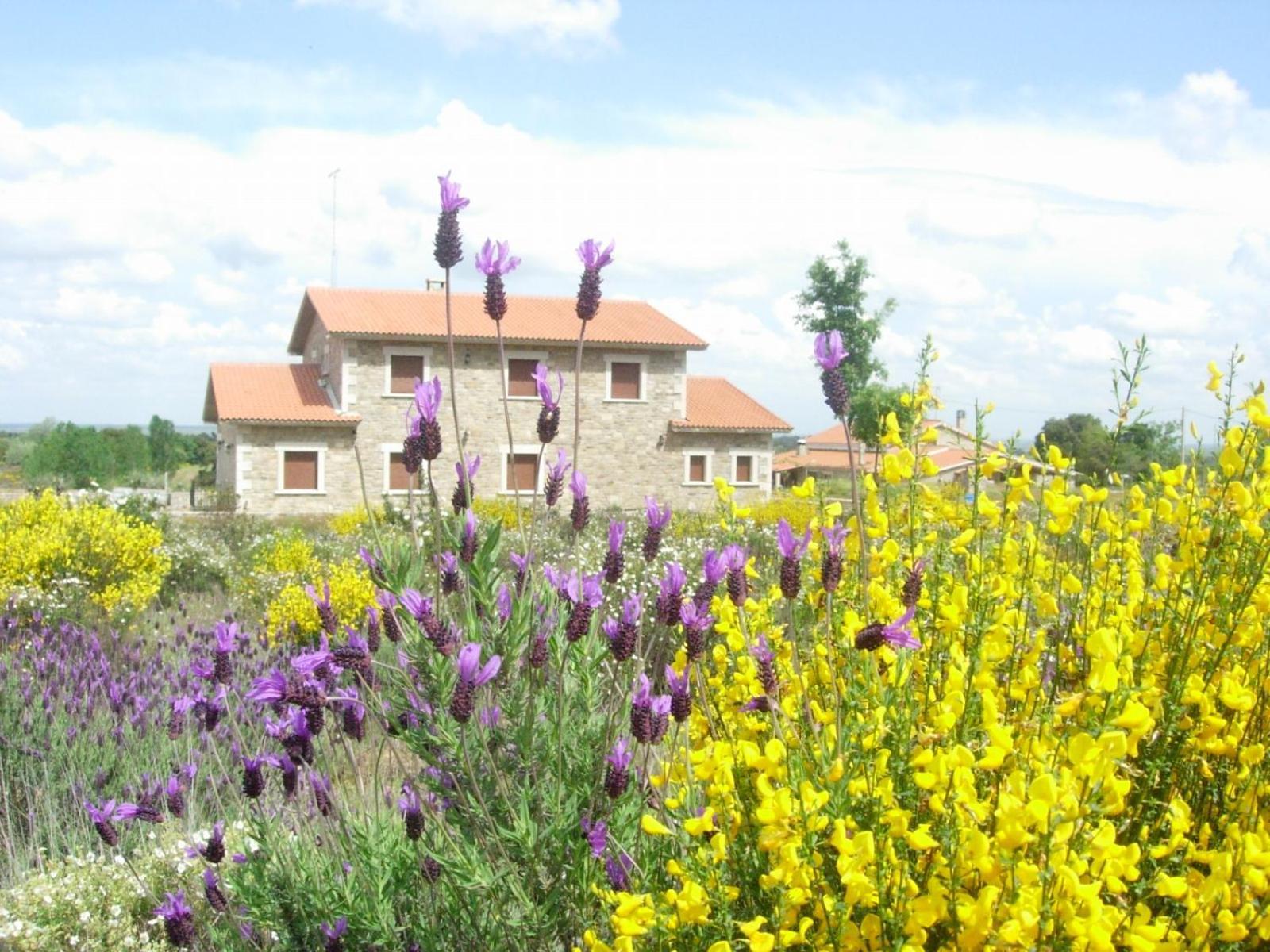 Holiday home Arribes Durii Formariz
