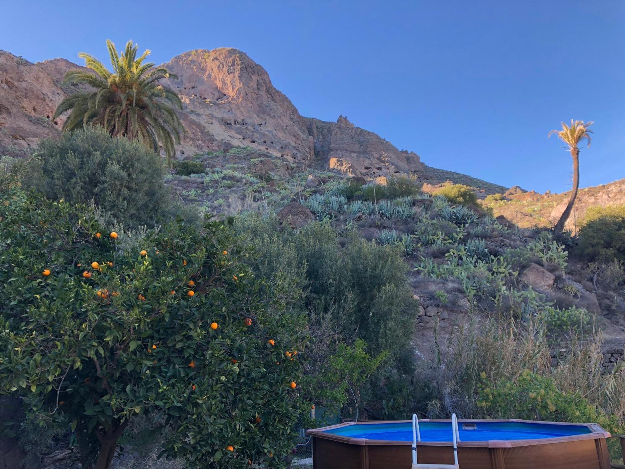 Mariola - Alpendre San Bartolome de Tirajana (Gran Canaria)