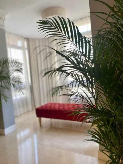 Apartamento Pan Y Aceite 2 By Solymar *