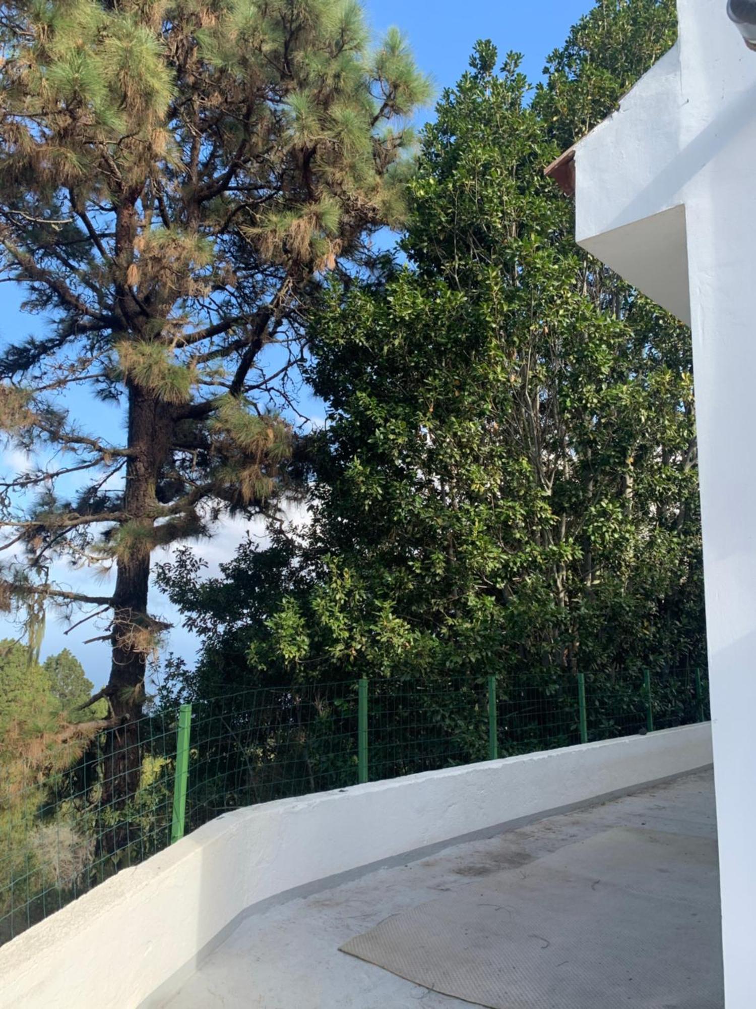 Casa Del Pino San Juan del Reparo