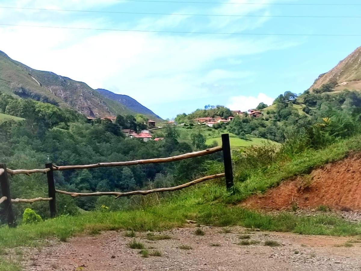 Casa Doro