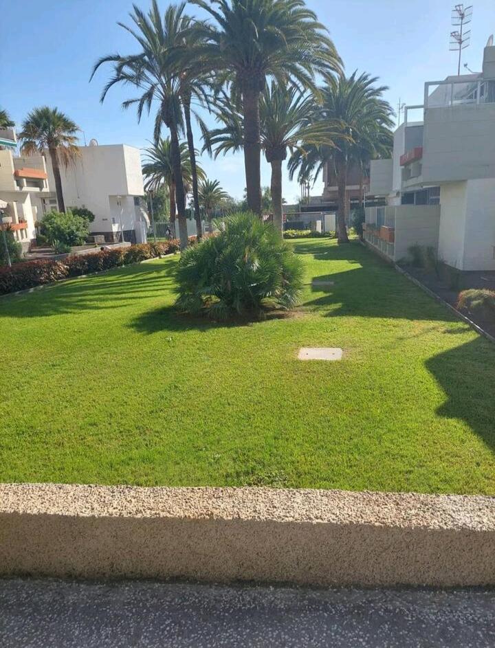 Orita Apartamento