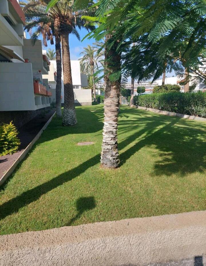 Apartamento Orita