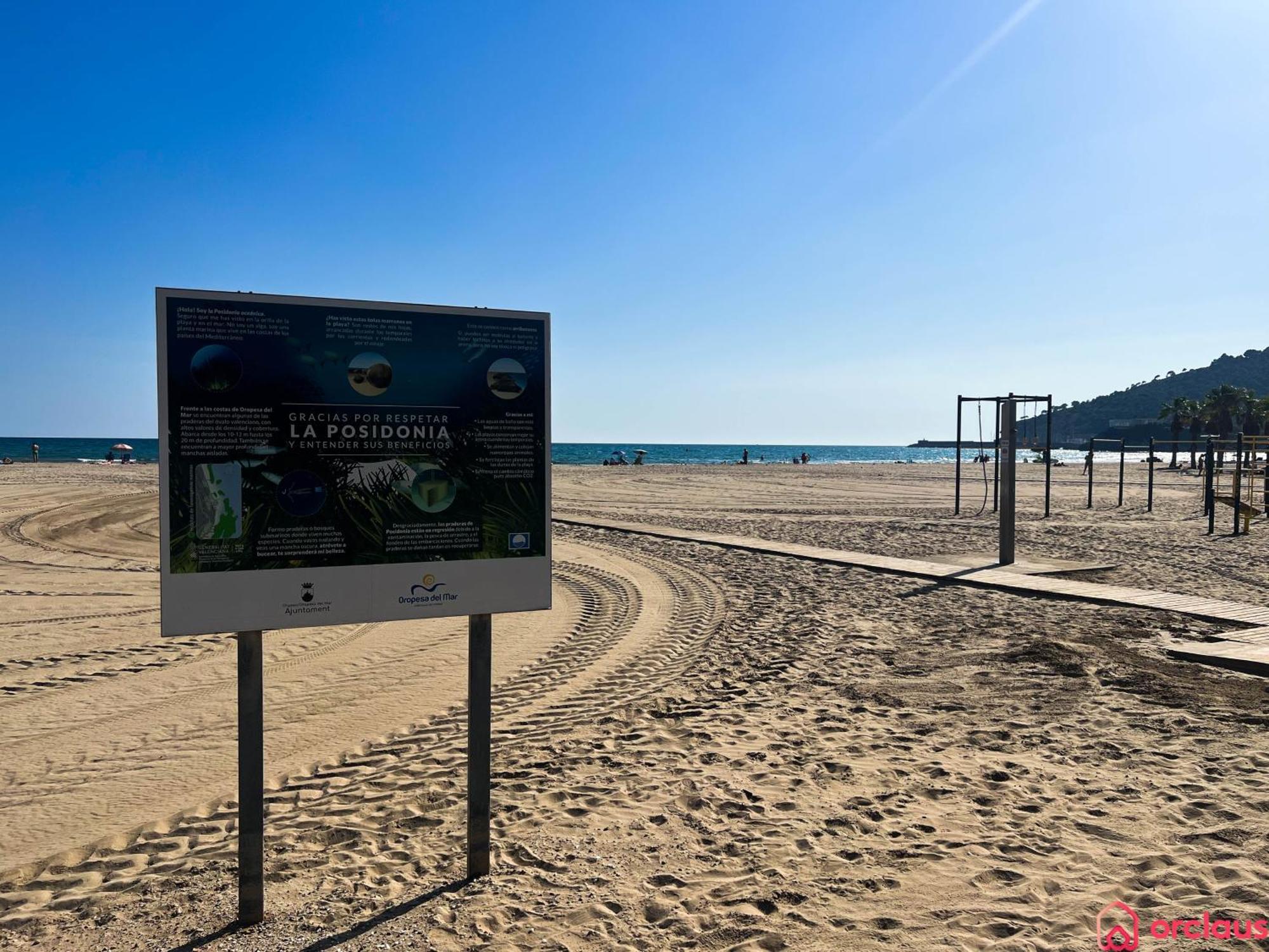 El Paraiso En Playa Concha * Oropesa del Mar
