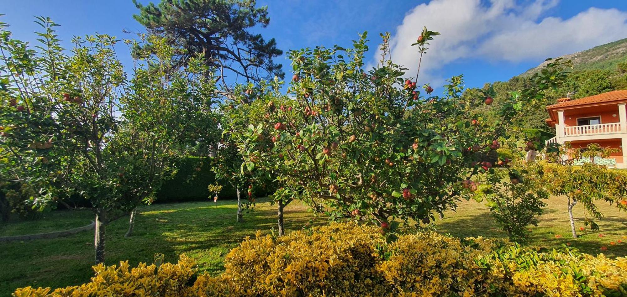 Oasis Holiday home
