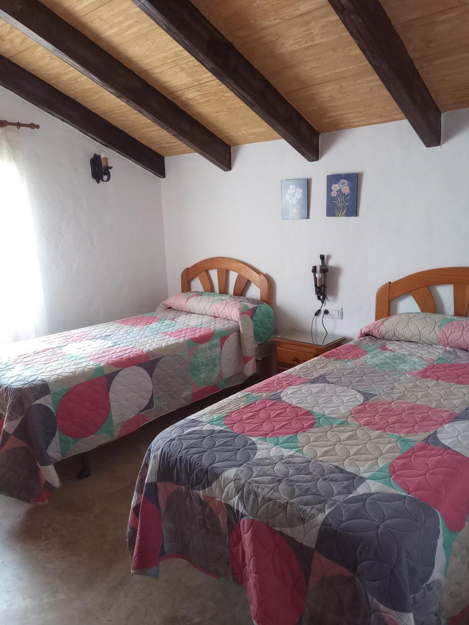 Casa rural Complejo Rural Entre Pinos