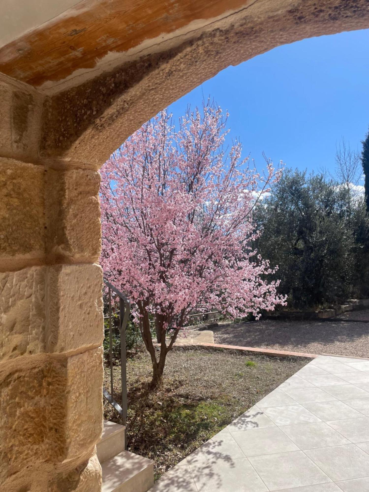 Maset Del Riu * Valderrobres