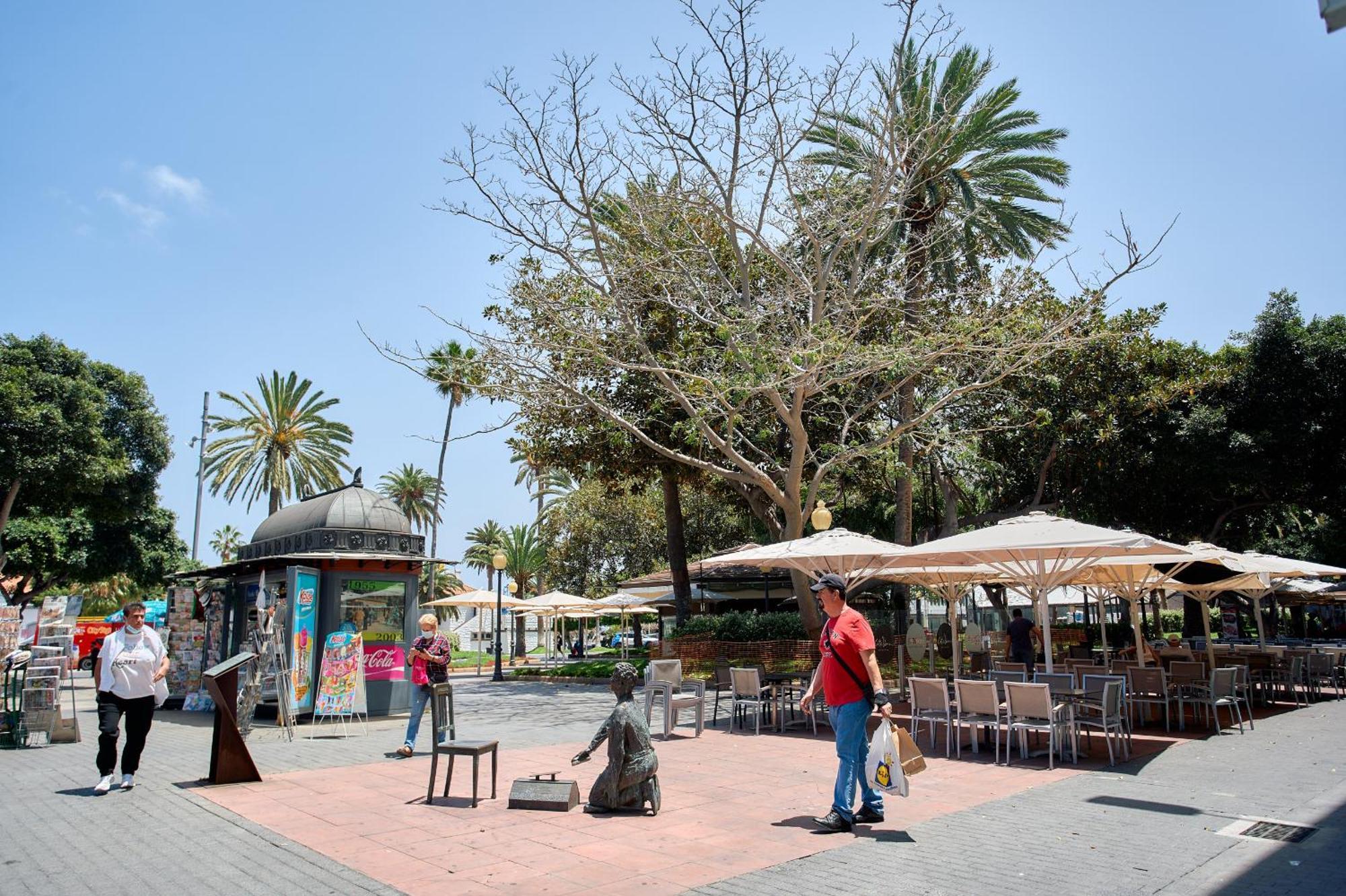 Urban Flat In Santa Catalina - 4 Min Walk To Las Palmas de Gran Canaria