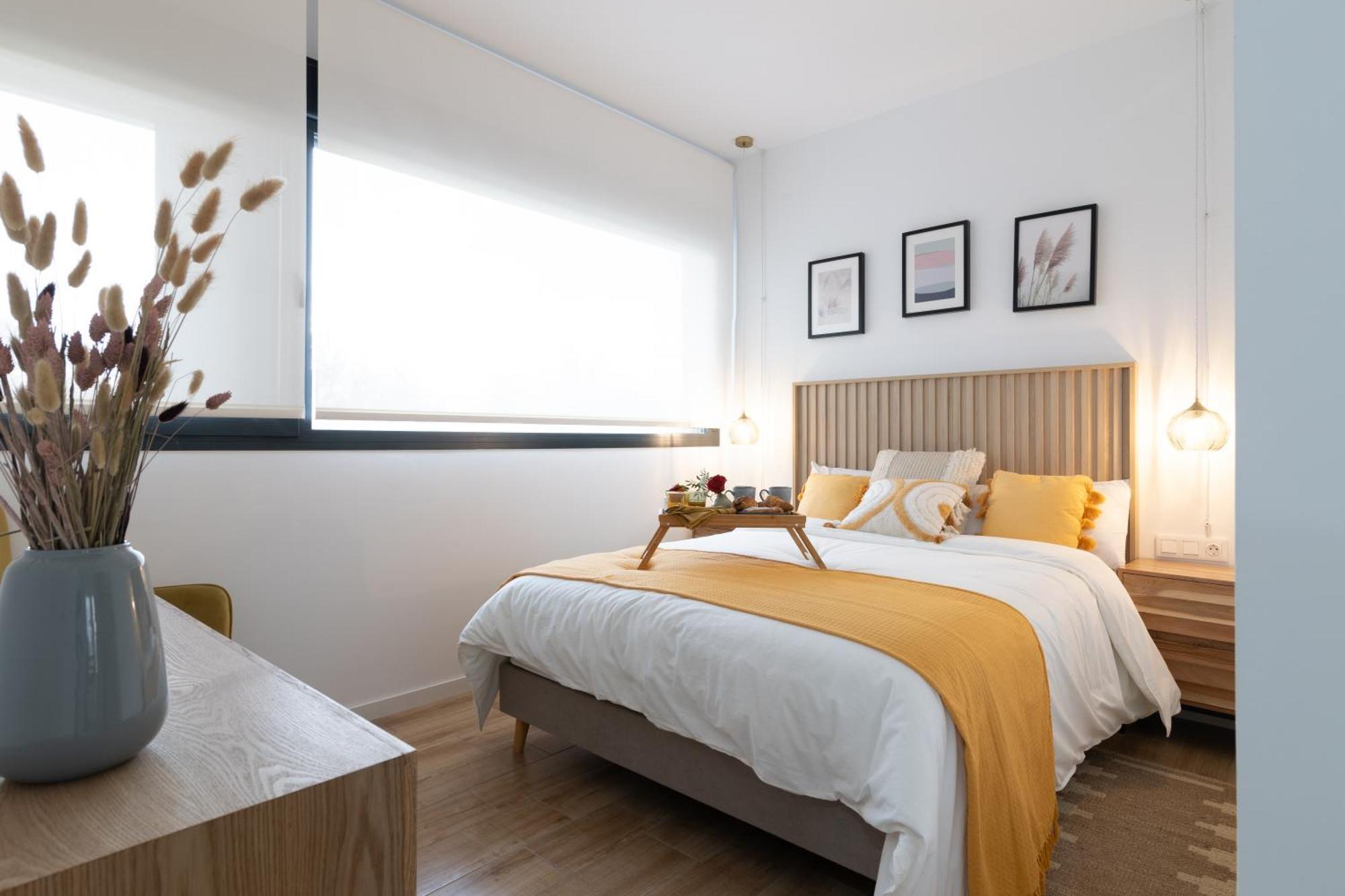 Dorm4you Arena * Valencia