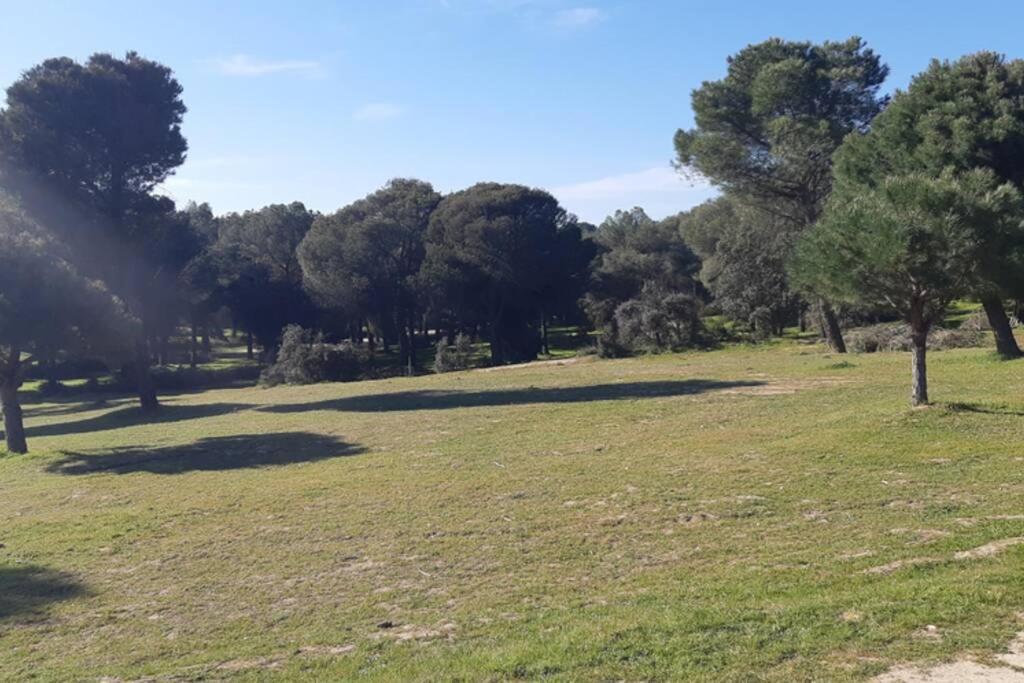Independent Little House * Majadahonda