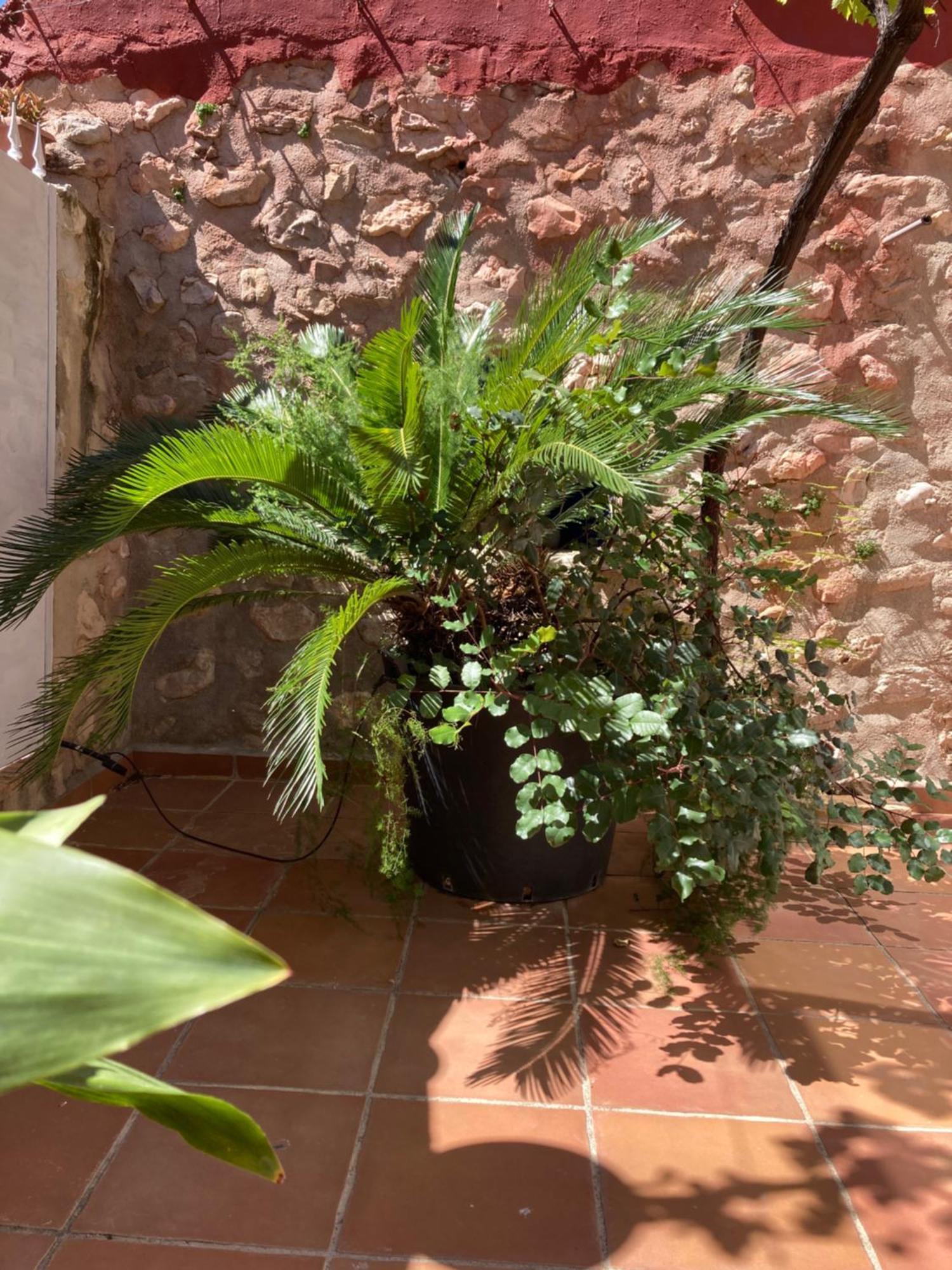 Casa Gallinera Casa rural *