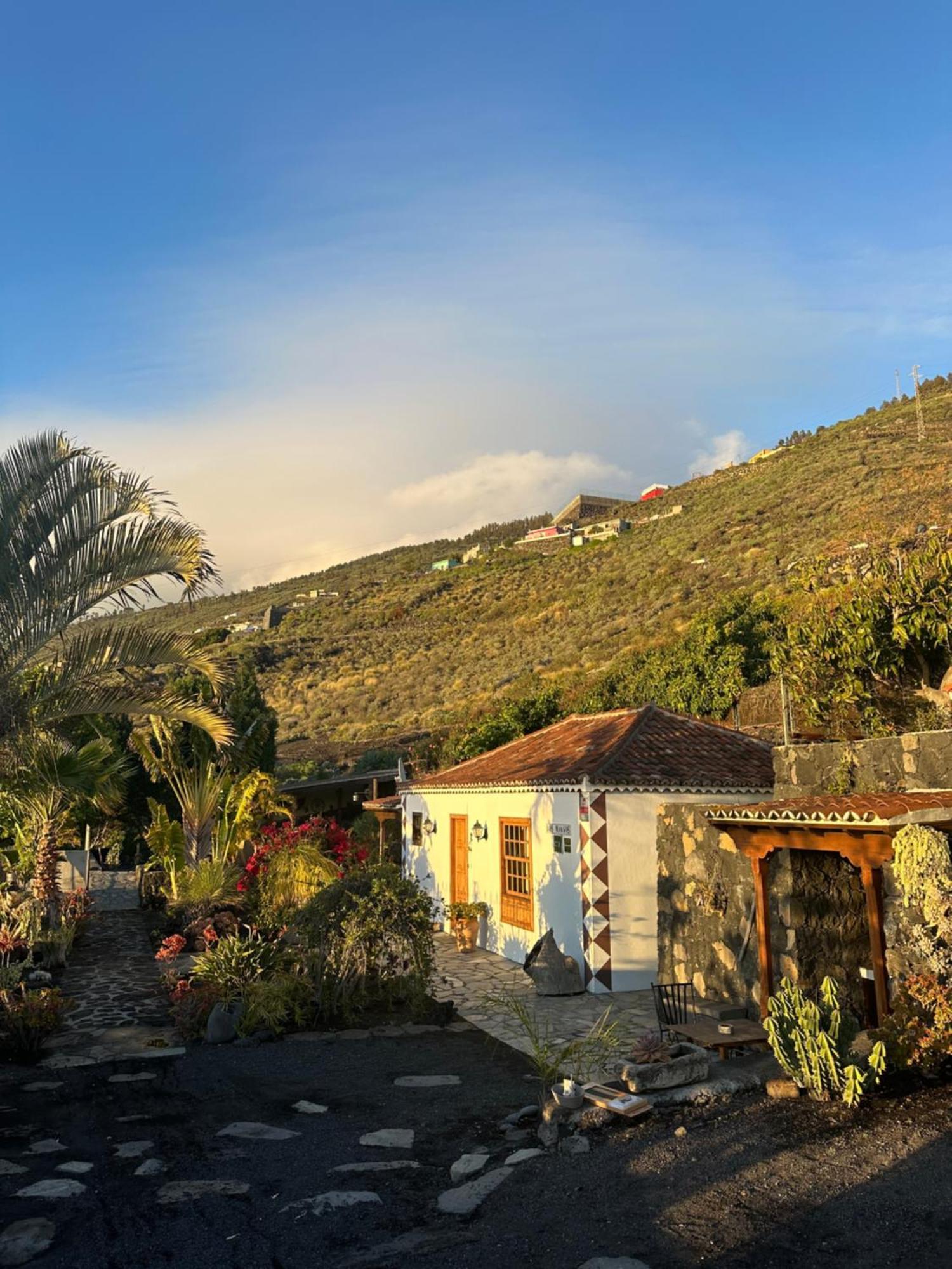 Casa Mangos