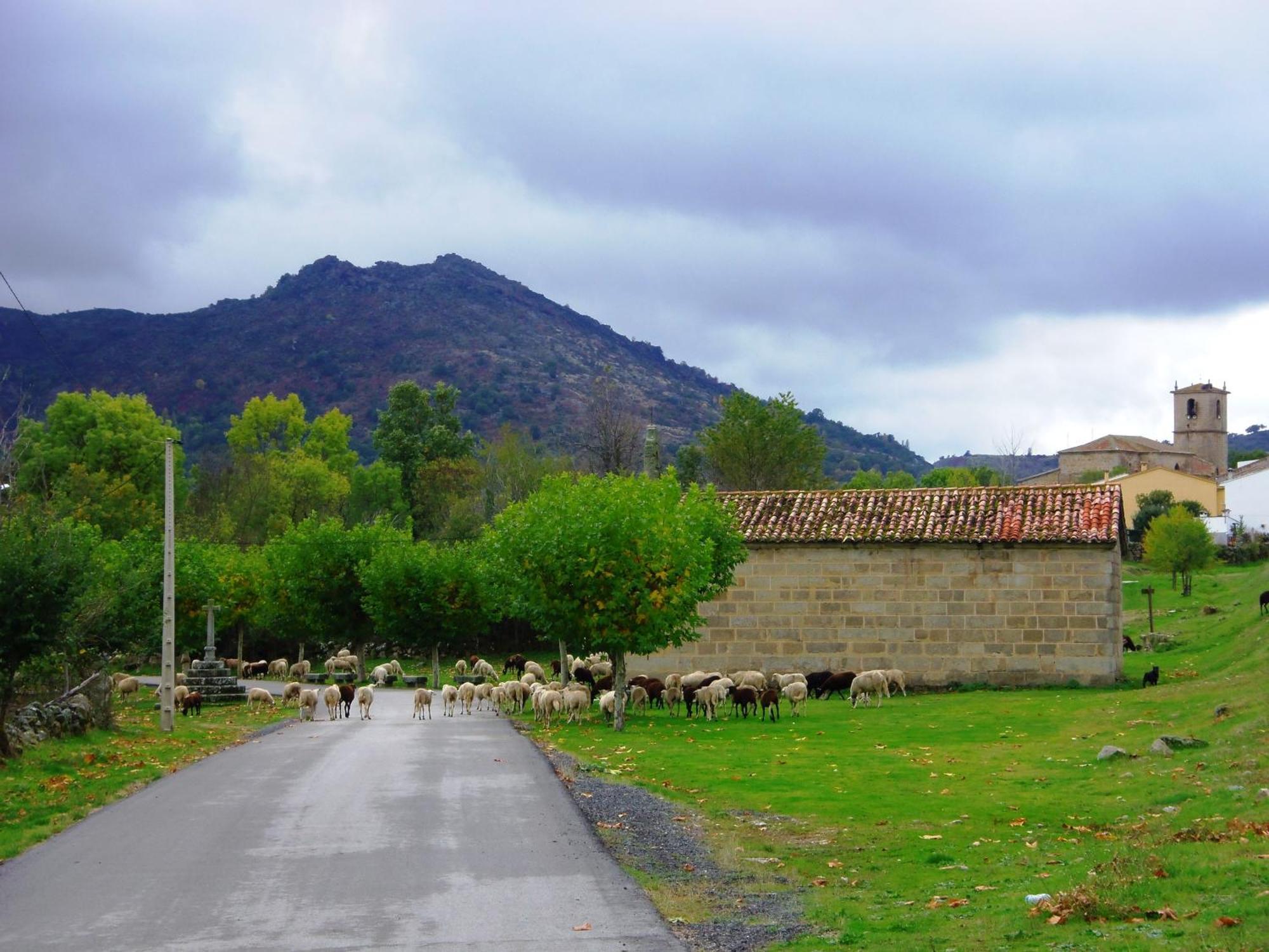 El Caldero Sierra De Bejar Сasa de vacaciones Sorihuela