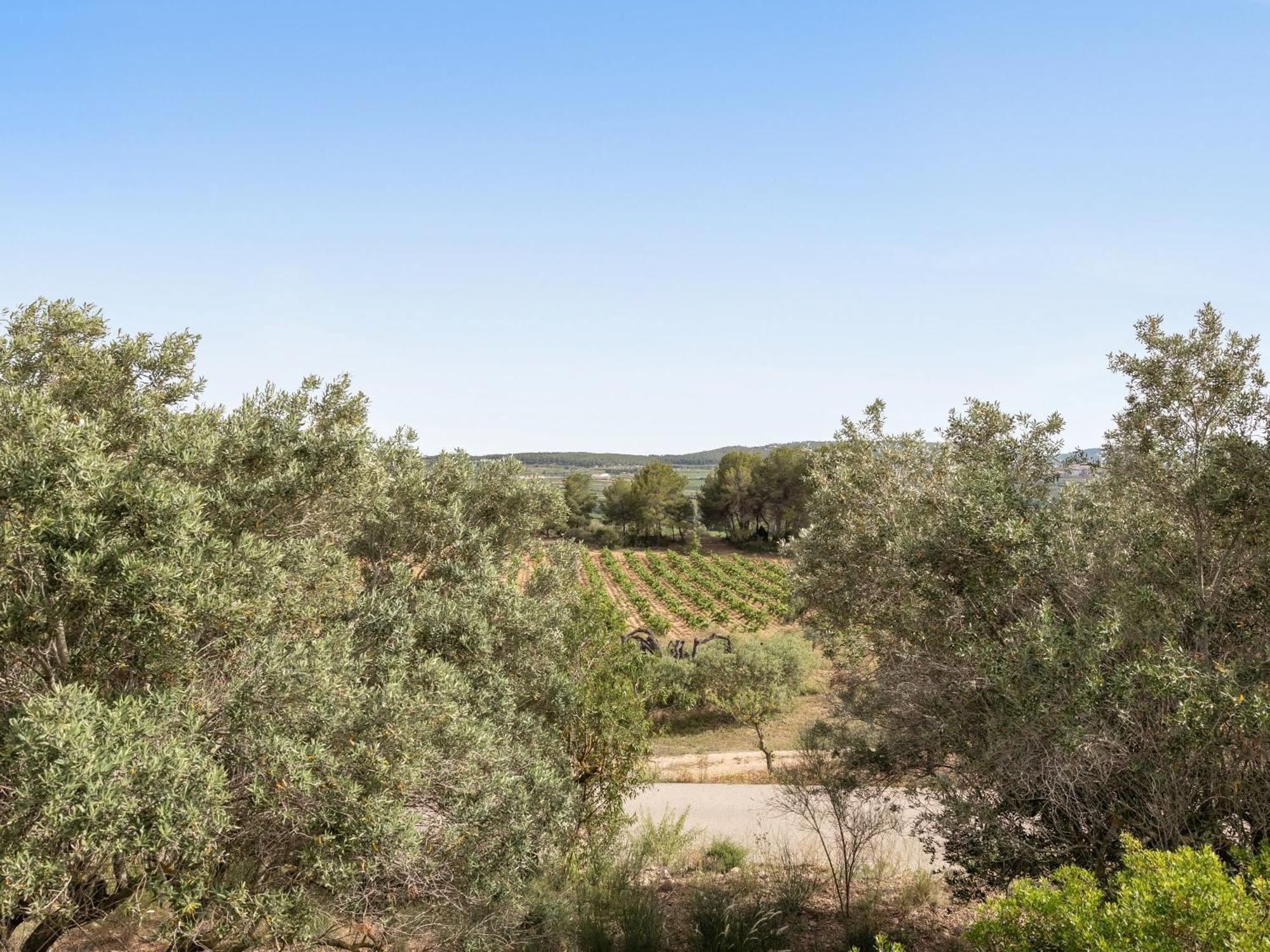 Casa Les Vinyes Villa Sant Pau d'Ordal
