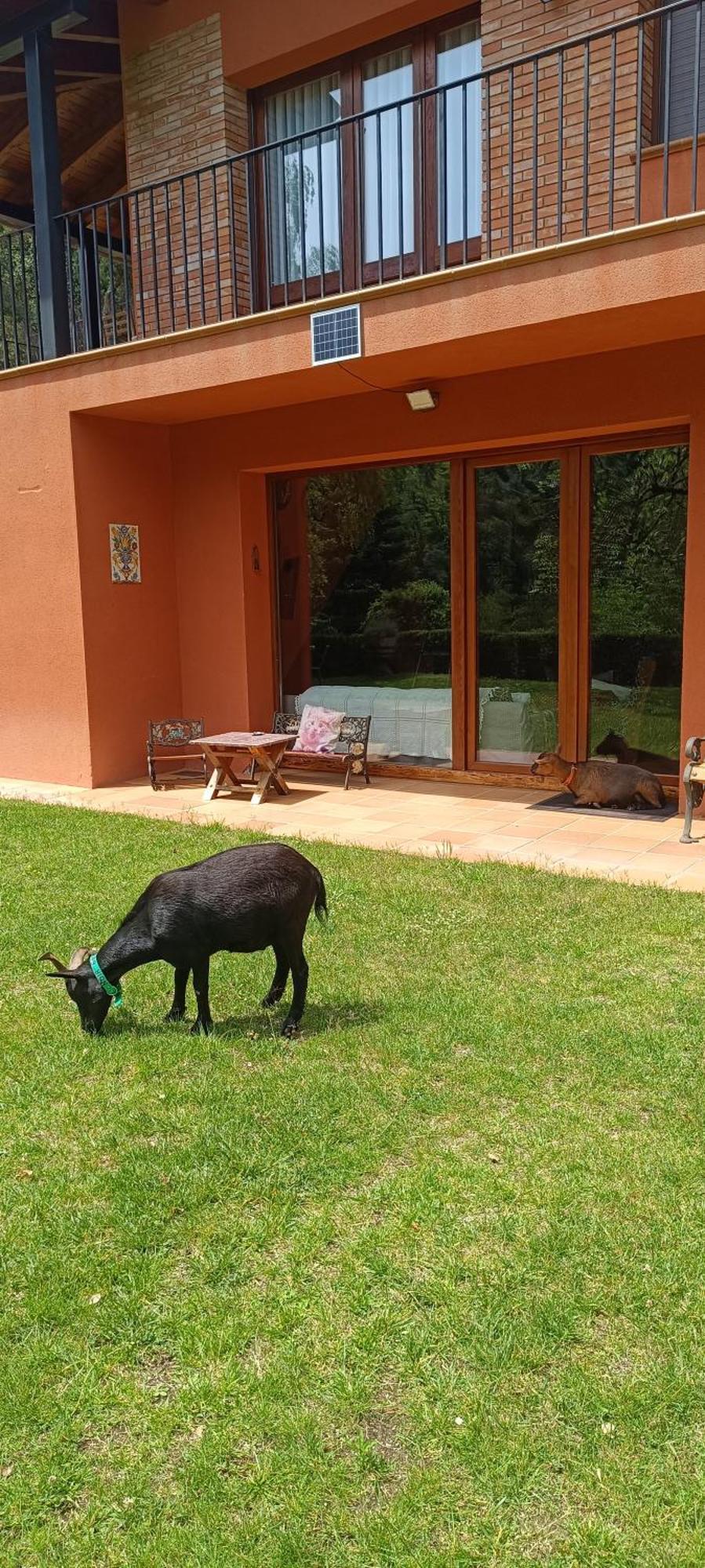 Ca La Montse Сasa de vacaciones