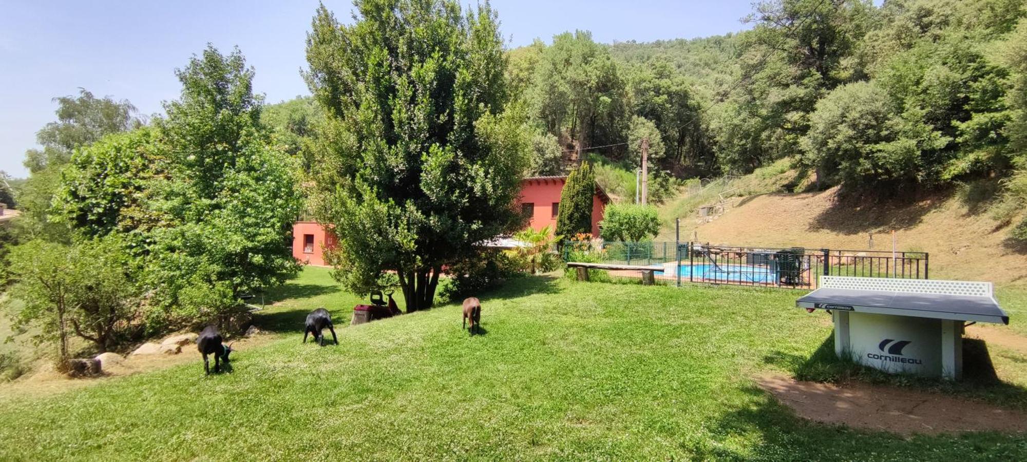 Сasa de vacaciones Ca La Montse *