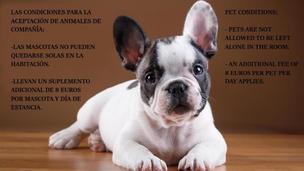 Abadías 2* Mérida