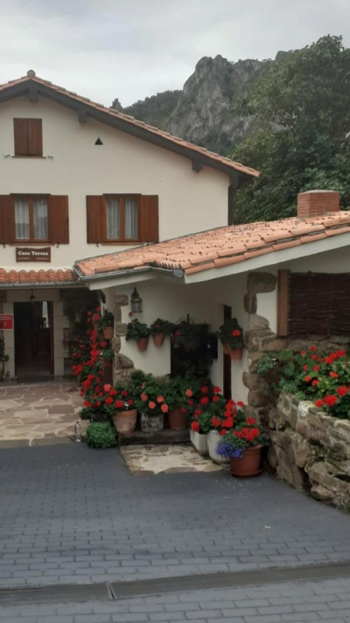 Casa Teresa
