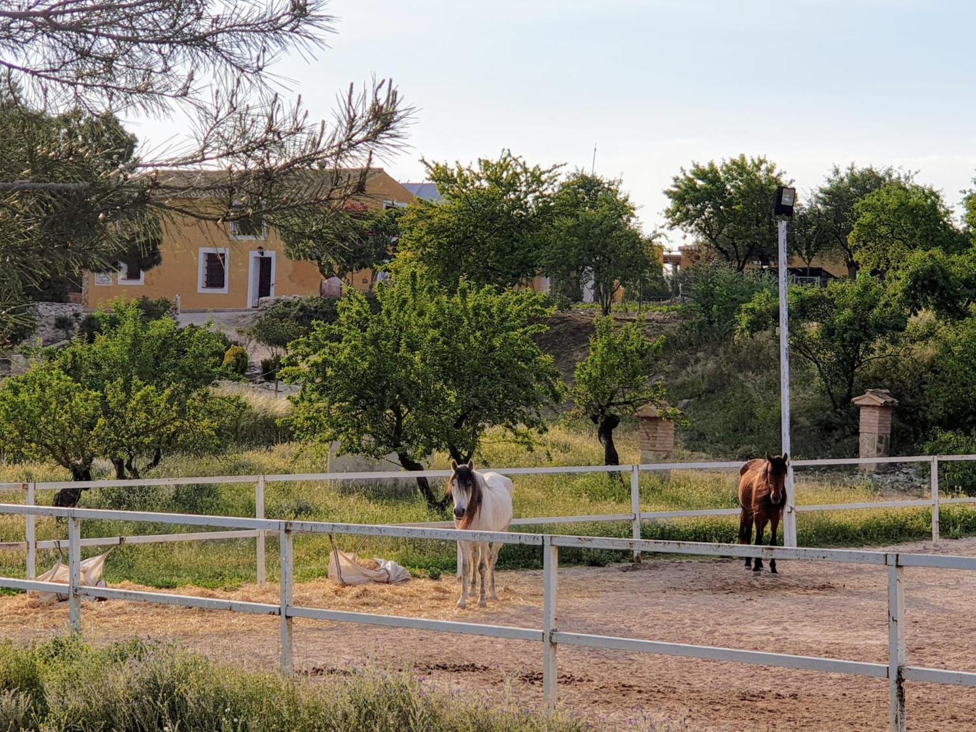 Complejo Rural Lomas De *