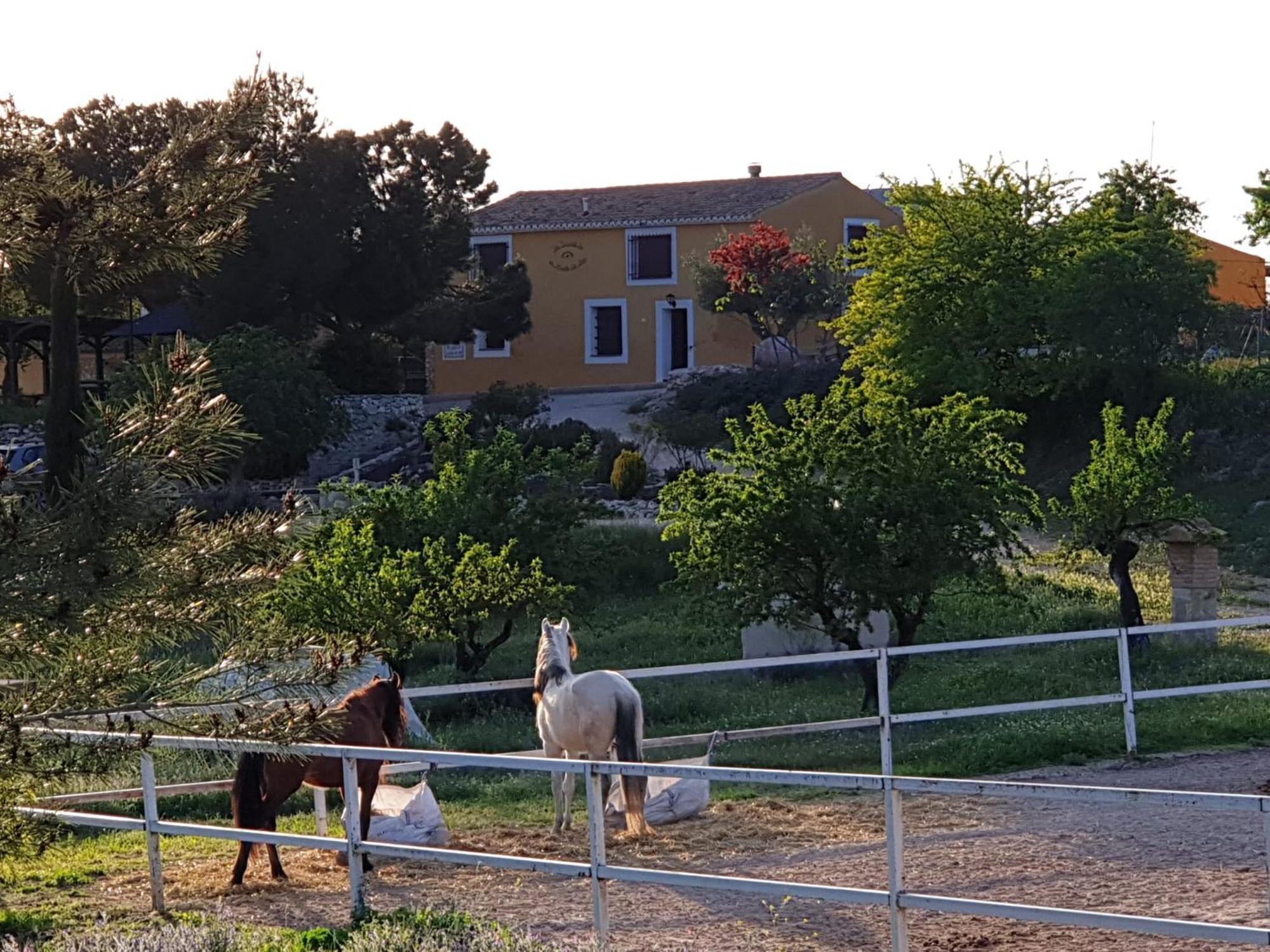 Hotel Complejo Rural Lomas De *