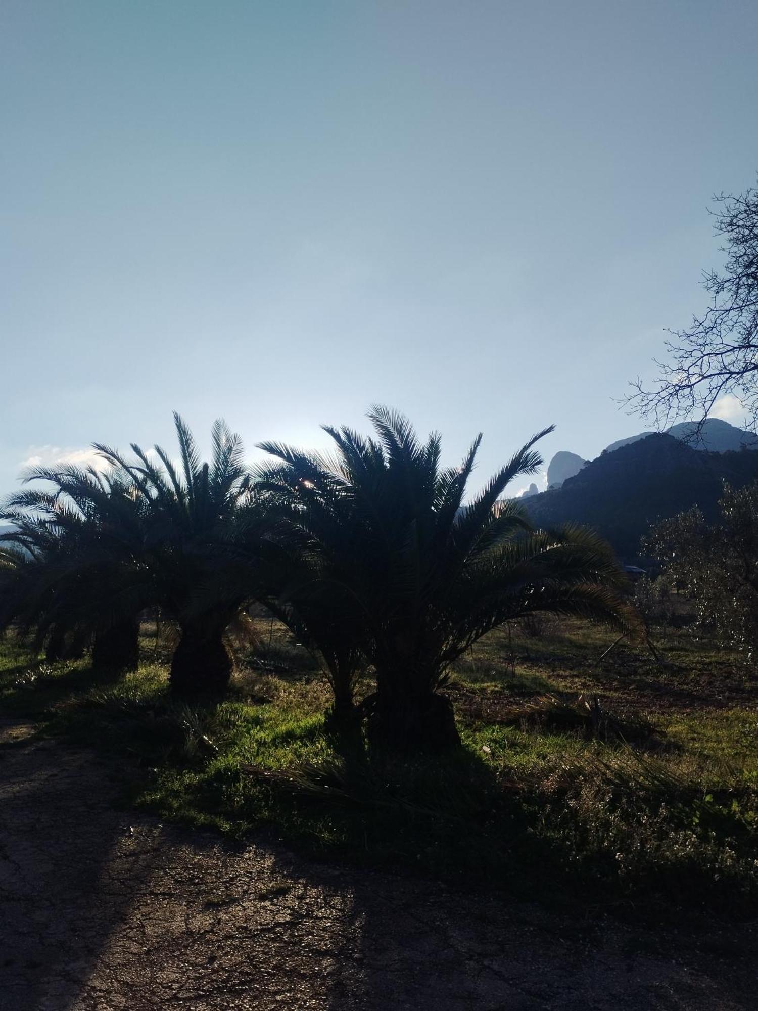 Mas De Manresa * Horta de Sant Joan