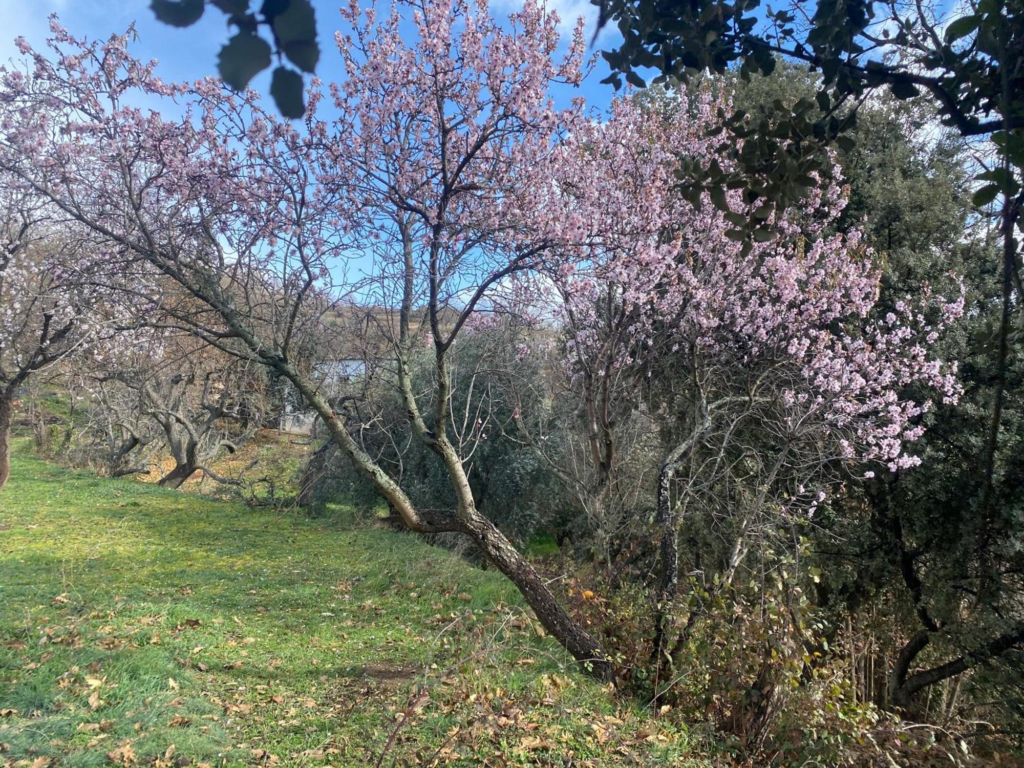 Apartamento Mevak Alpujarra Pórtugos