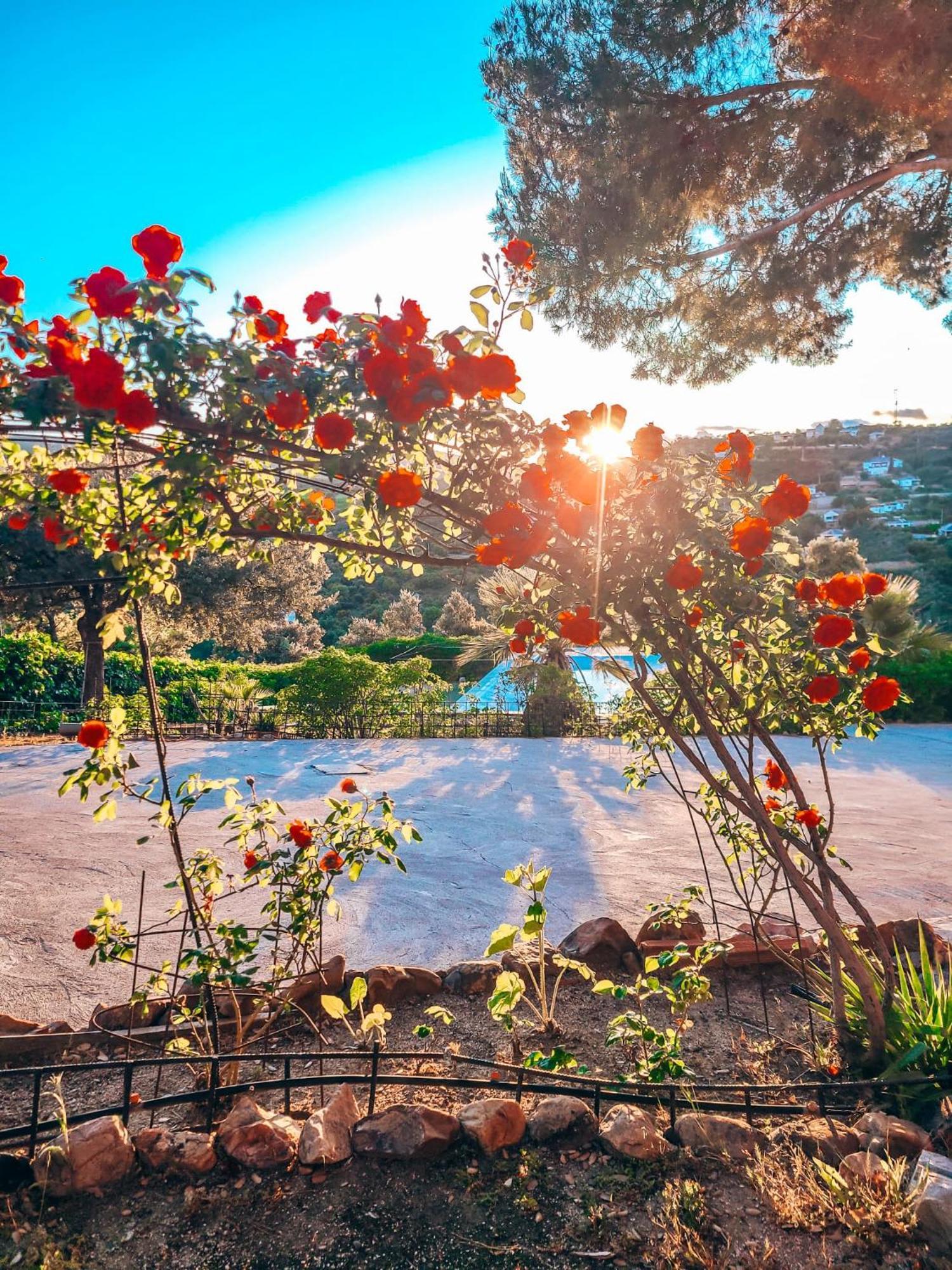 Сasa de vacaciones Casa Terra Hontanar