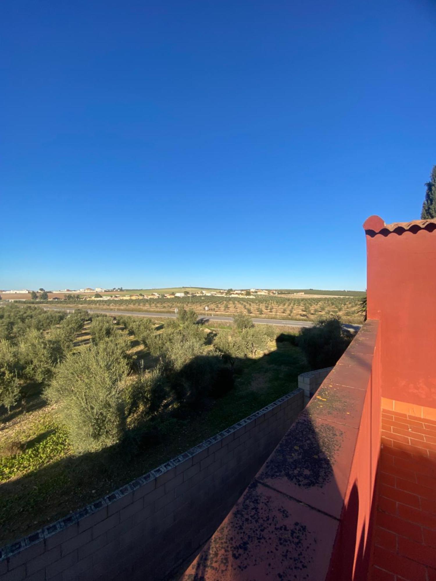 Olimpya Rural * Osuna