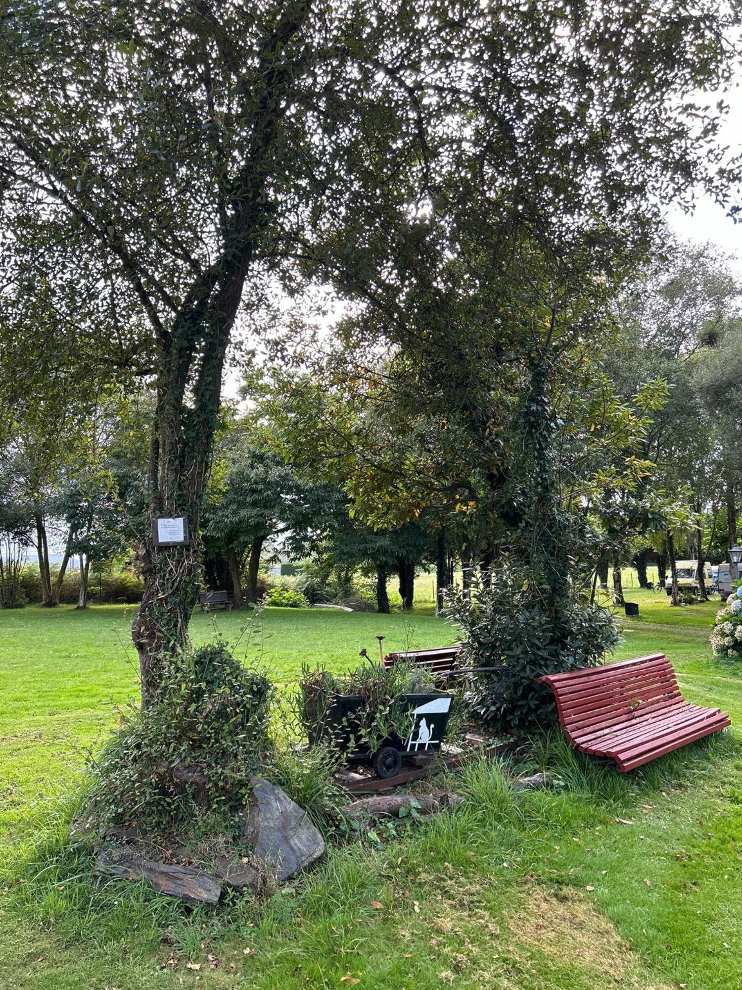 Campsite A Grandella *