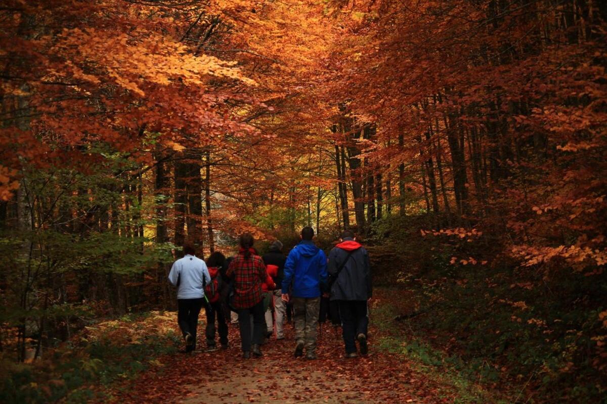 Сasa de vacaciones Casa Zapatainea - Refugio Y Naturaleza *