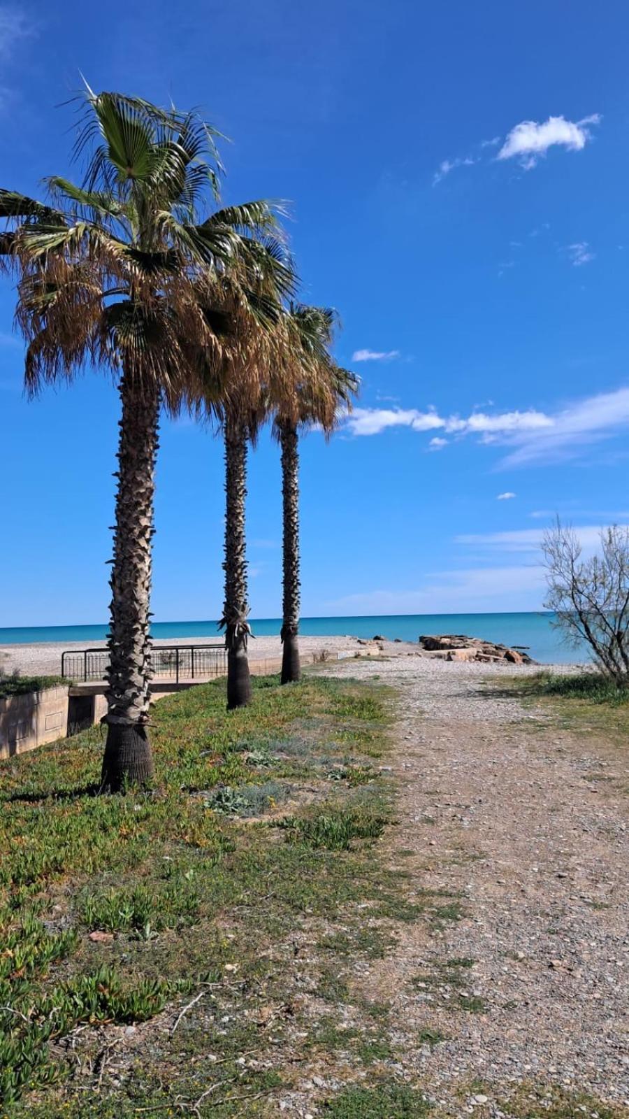 Apartamento Mi Refugio En La Playa