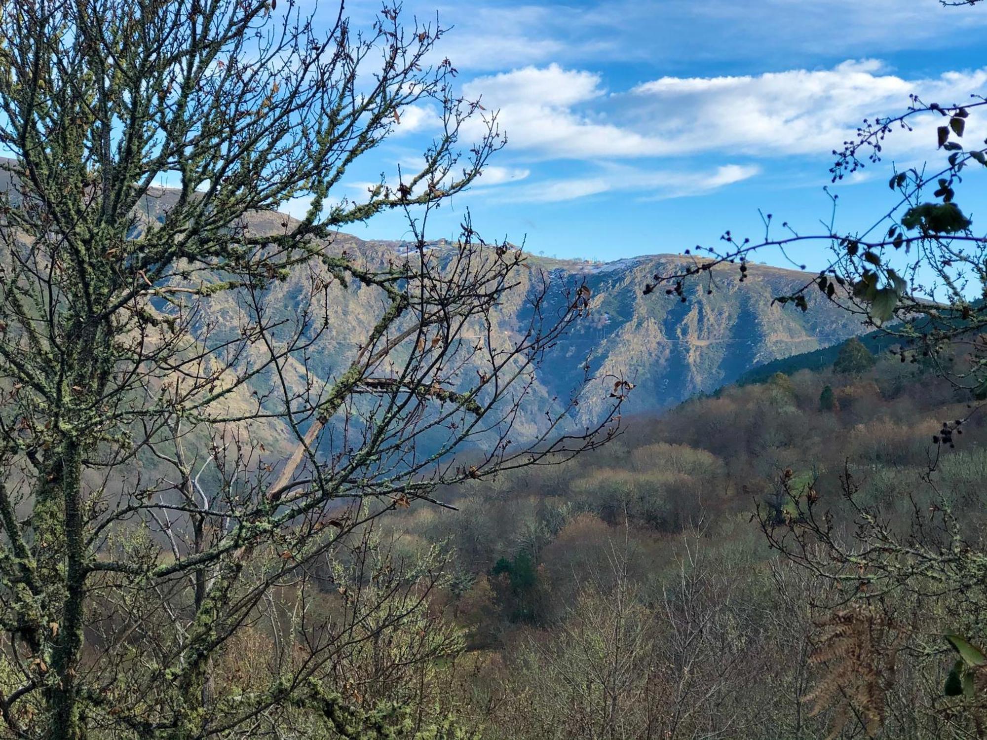 El Camino Laza