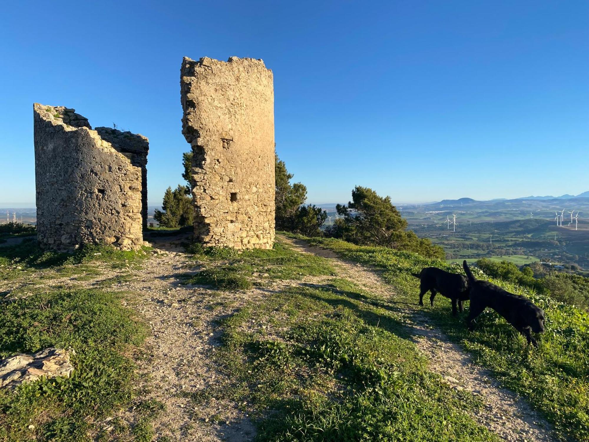 Victoria Seis * Medina-Sidonia