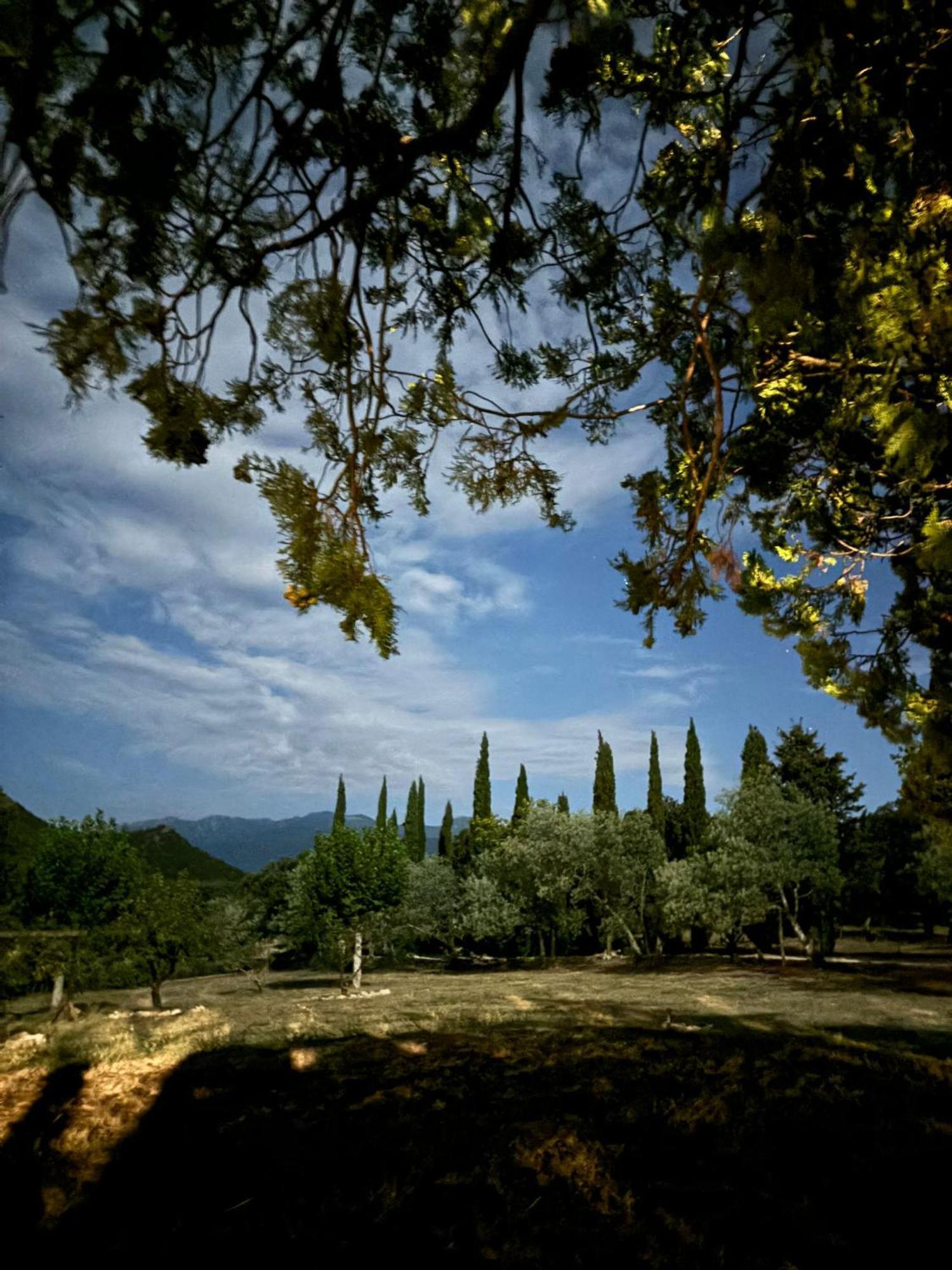 Masia Mimosa Jardin